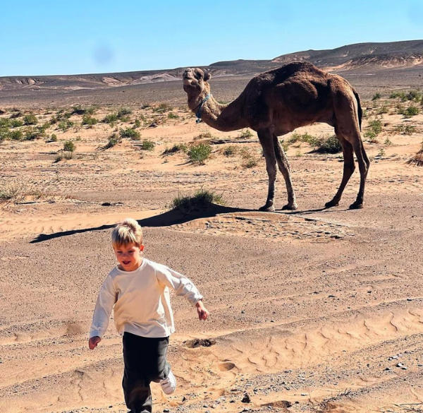 guide tours morocco