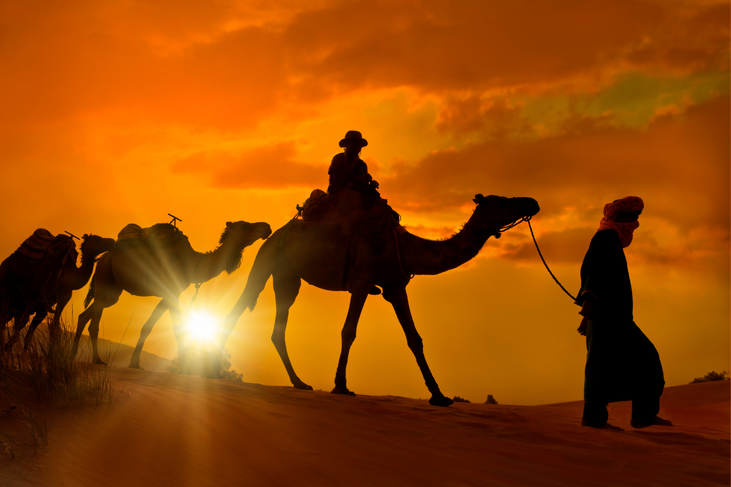 morocco tours