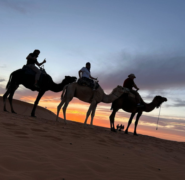 Sahara tours - 2025-04-02T234252.790