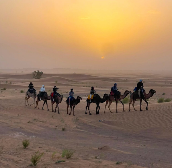 Sahara tours - 2025-04-02T234332.462
